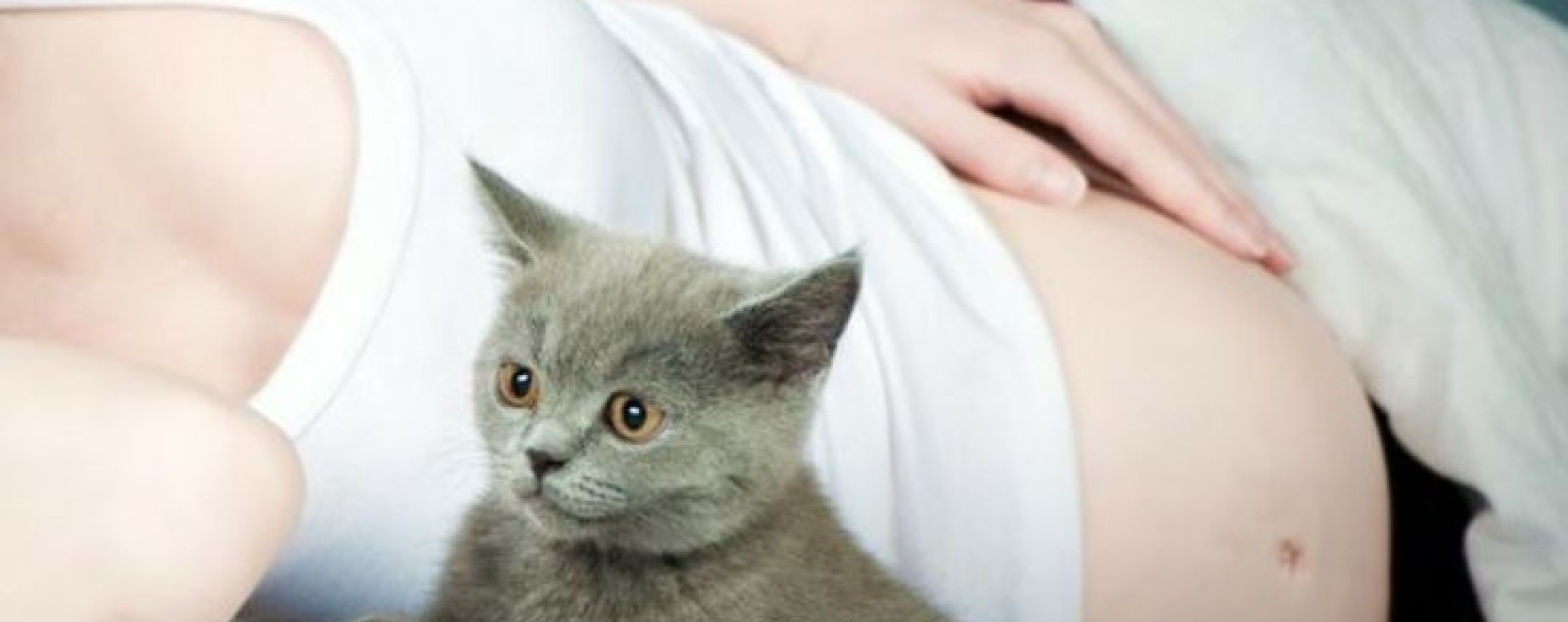 Επιπλοκές Τοκετού – Τοξοπλάσμωση