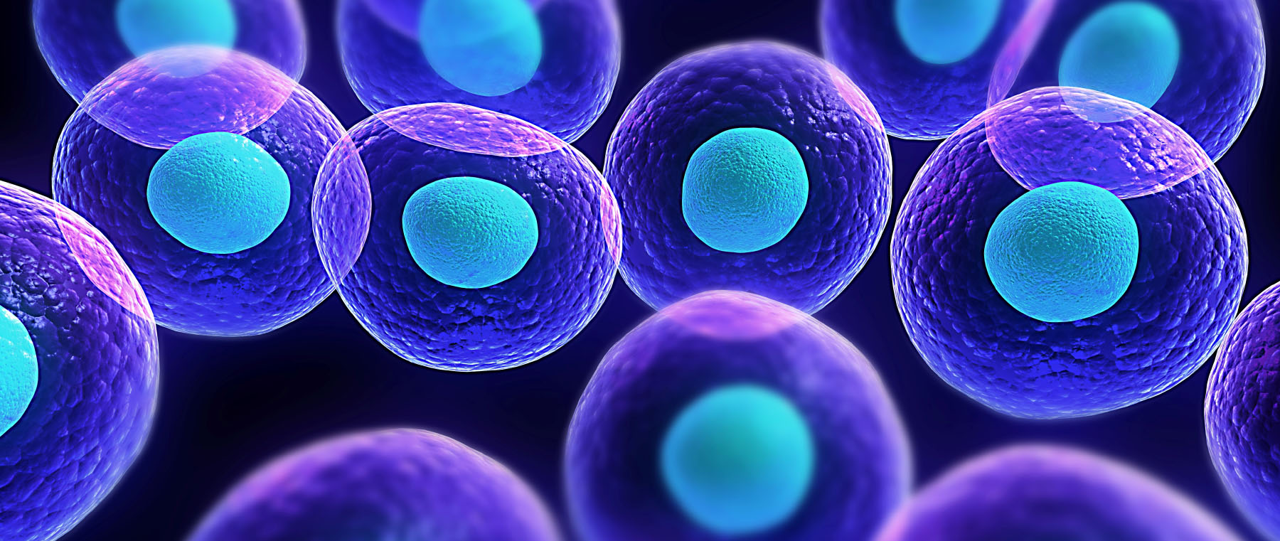 Λοιμώξεις HPV